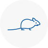 Mice Exterminators In Chislehurst
